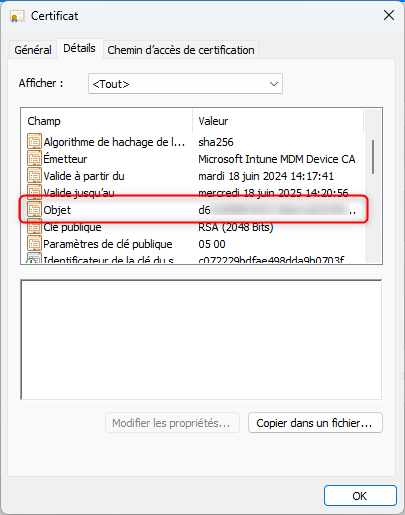 Objet du certificat, accessible dans les propriétés du certificat (onglet détails)